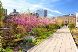 The High Line Spring 8 Conlay Placemaking 